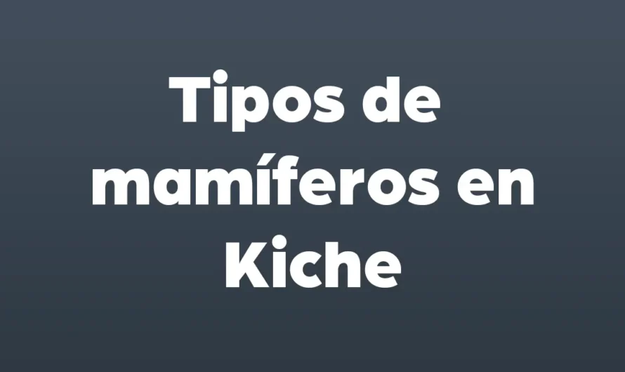 Tipos de MAMIFEROS en Kiche
