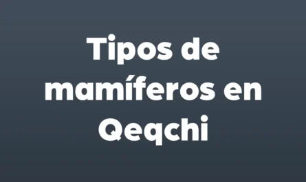 tipos de mamiferos en qeqchi