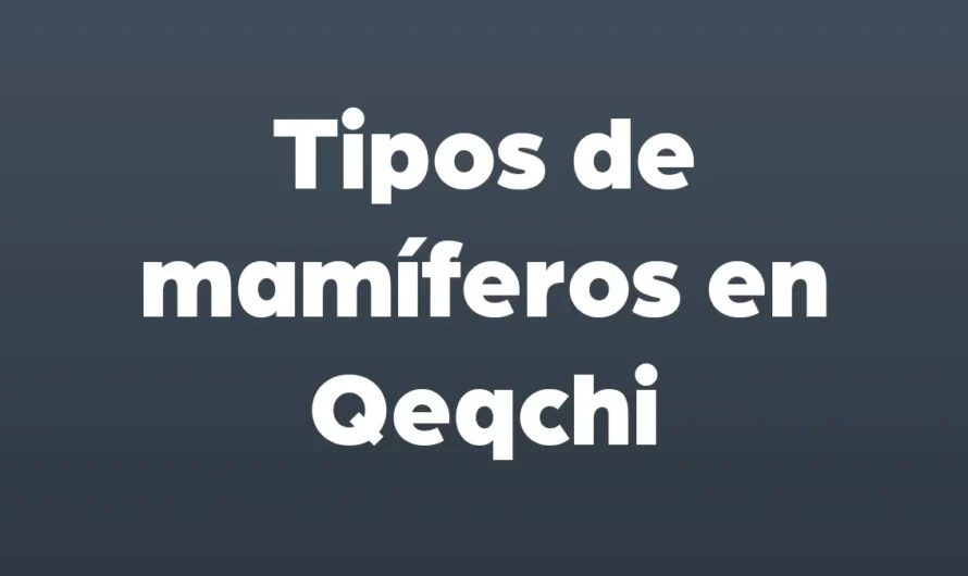 Tipos de MAMIFEROS en Qeqchi
