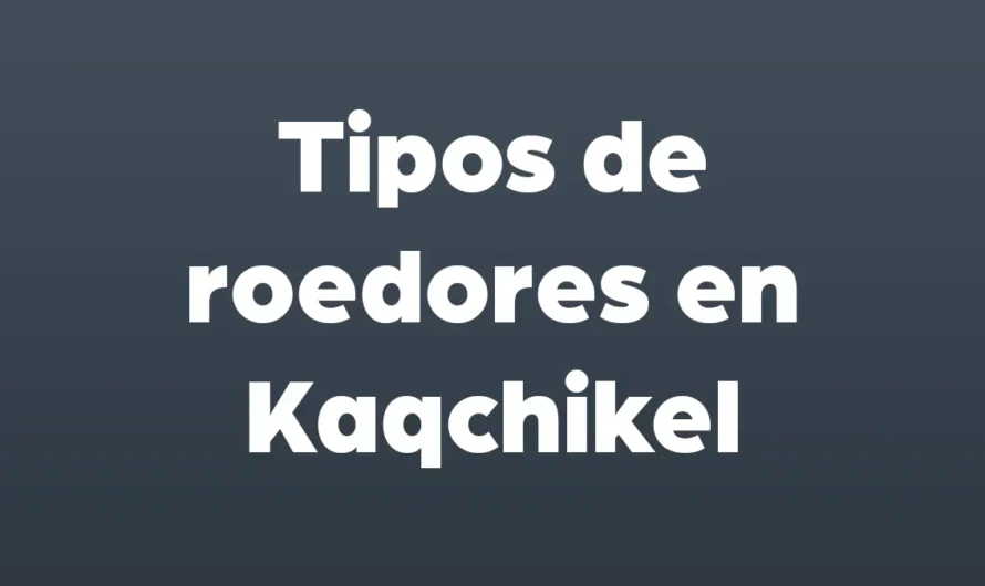Tipos de ROEDORES en Kaqchikel