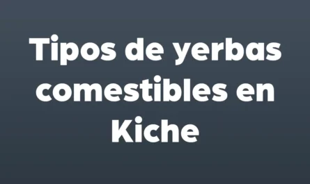 tipos de yerbas comestibles en kiche