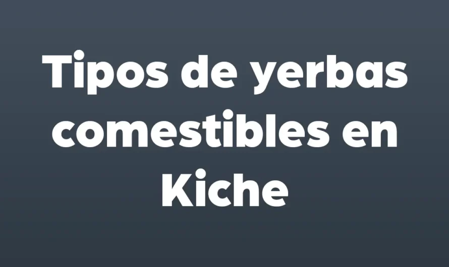 Tipos de YERBAS COMESTIBLES en KICHE