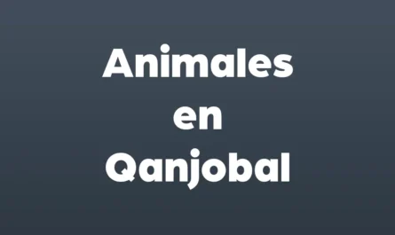 animales en qanjobal
