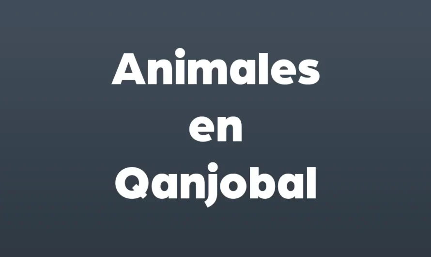 Nombres de animales en Q’anjob’al con IMAGENES