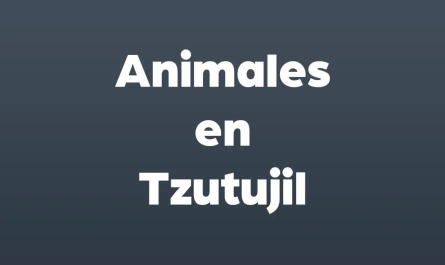35 Animales en Tzutujil ilustrado