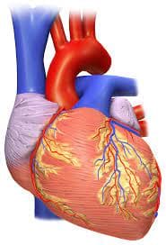 corazon_en_achi_y_espanol