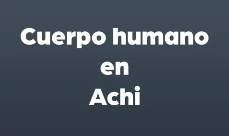 cuerpo humano en achi