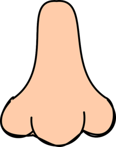 nariz_en_achi_y_espanol