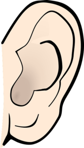 oreja_en_achi_y_espanol