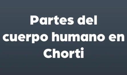 partes del cuerpo humano en chorti