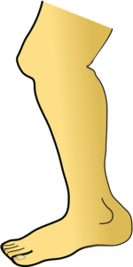 pierna_en_achi_y_espanol
