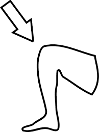 rodilla_en_achi_y_espanol