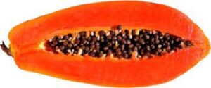 papaya_en_nahuatl