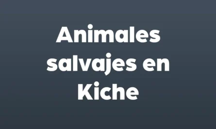 animales salvajes en kiche