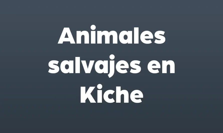 Animales SALVAJES en Kiche con IMAGENES y AUDIOS