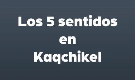 los 5 sentidos en kaqchikel