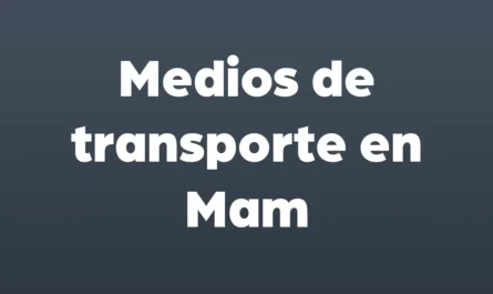 medios de transporte en mam